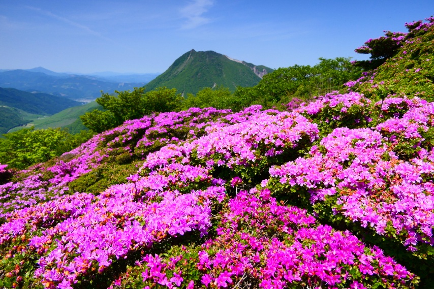 37f6f3127c02bd19c36541e680a9e1