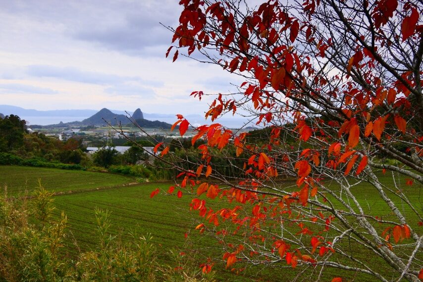 鰻池近くから、竹山遠望