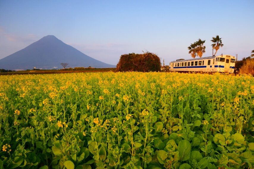 指宿枕崎線のキハ