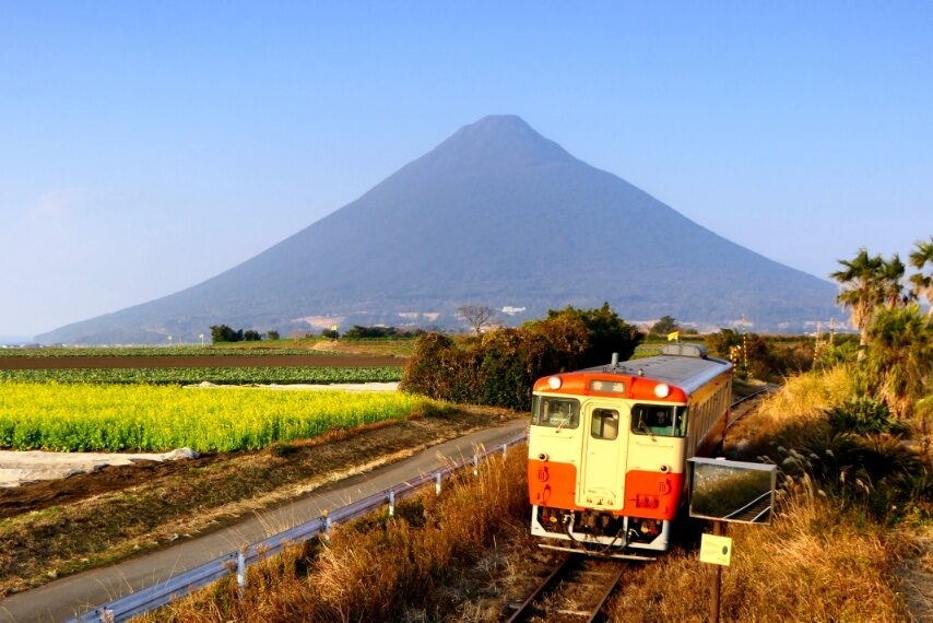 西大山駅近くのナノハナが満開