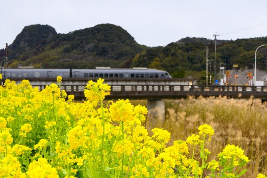 JR特急きりしまが通過