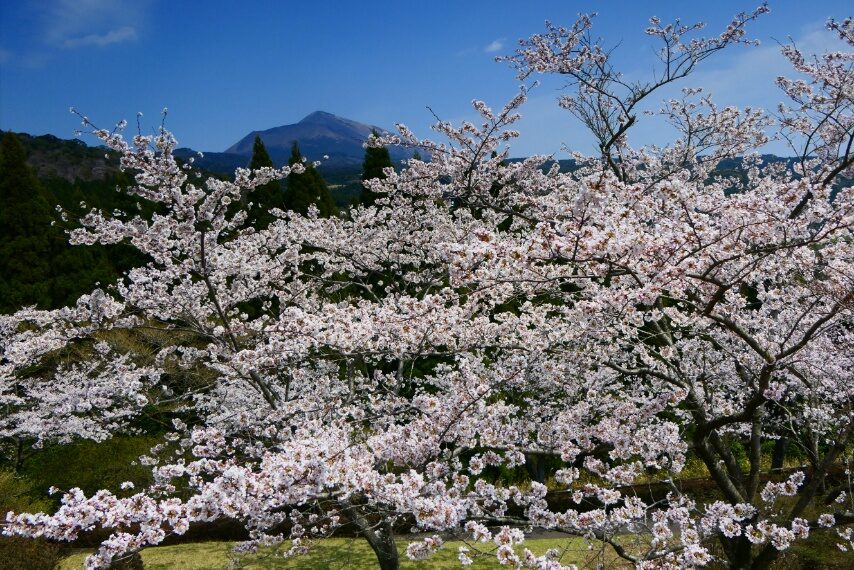 神話の里公園-1