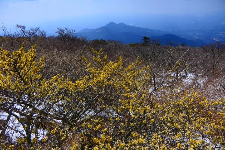 背景は、烏帽子岳