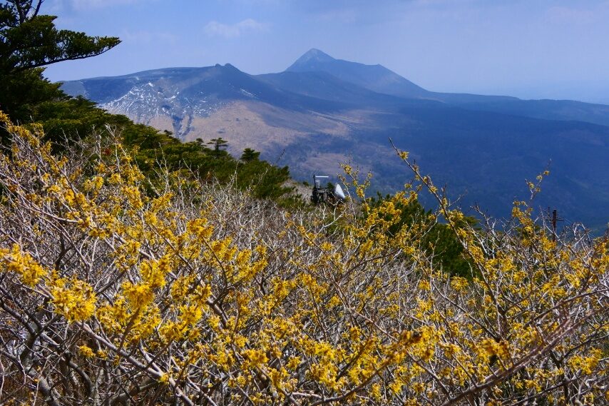 背景は、高千穂峰