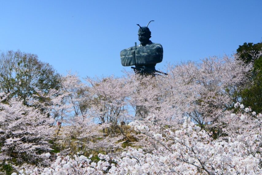 弥五郎伝説の里のソメイヨシノ①