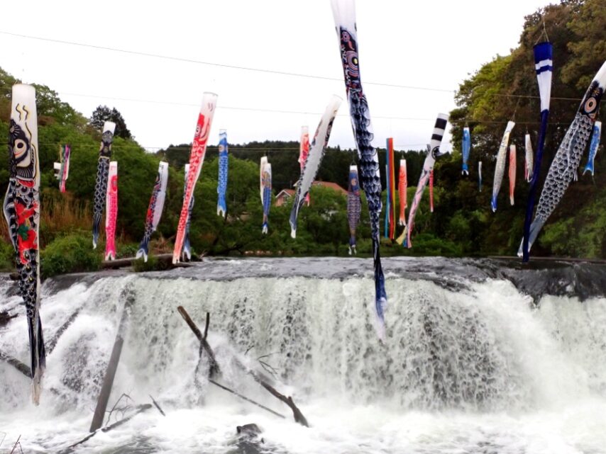 湯之尾滝に泳ぐ、こいのぼり