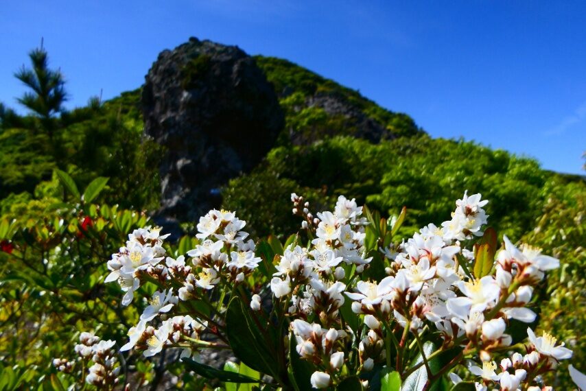 シャリンバイ背景は、大坊主岩