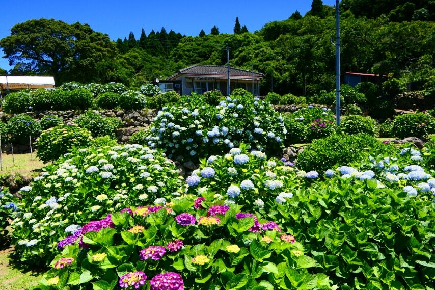 阿久根市笠山②