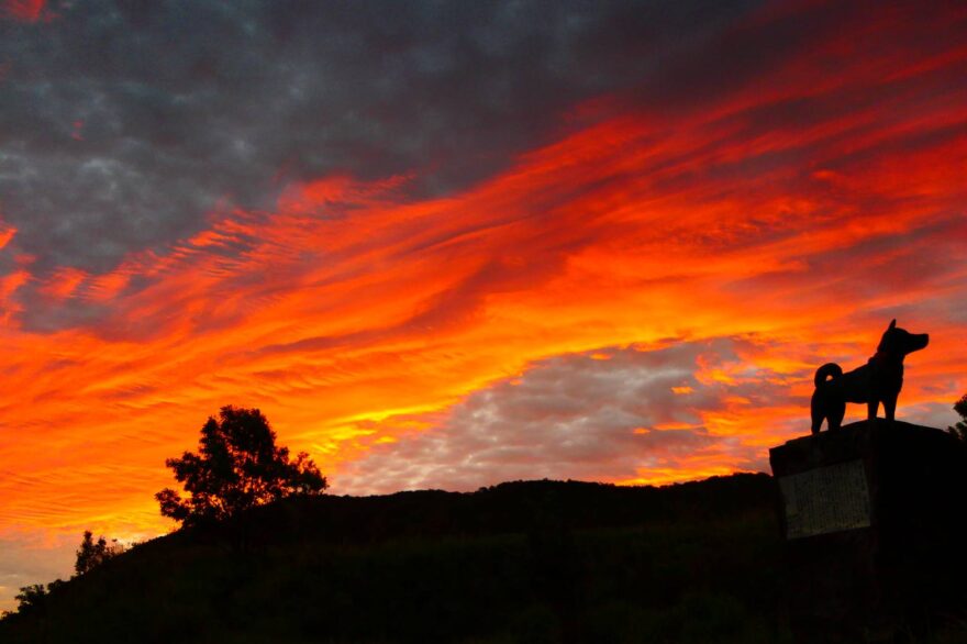 長者原の朝焼け＆平治犬碑