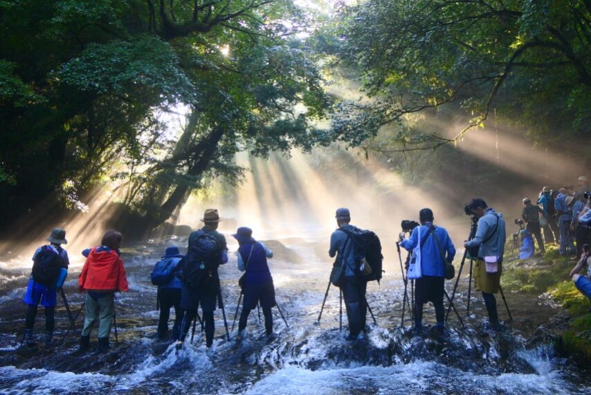 菊池溪谷の光芒-2