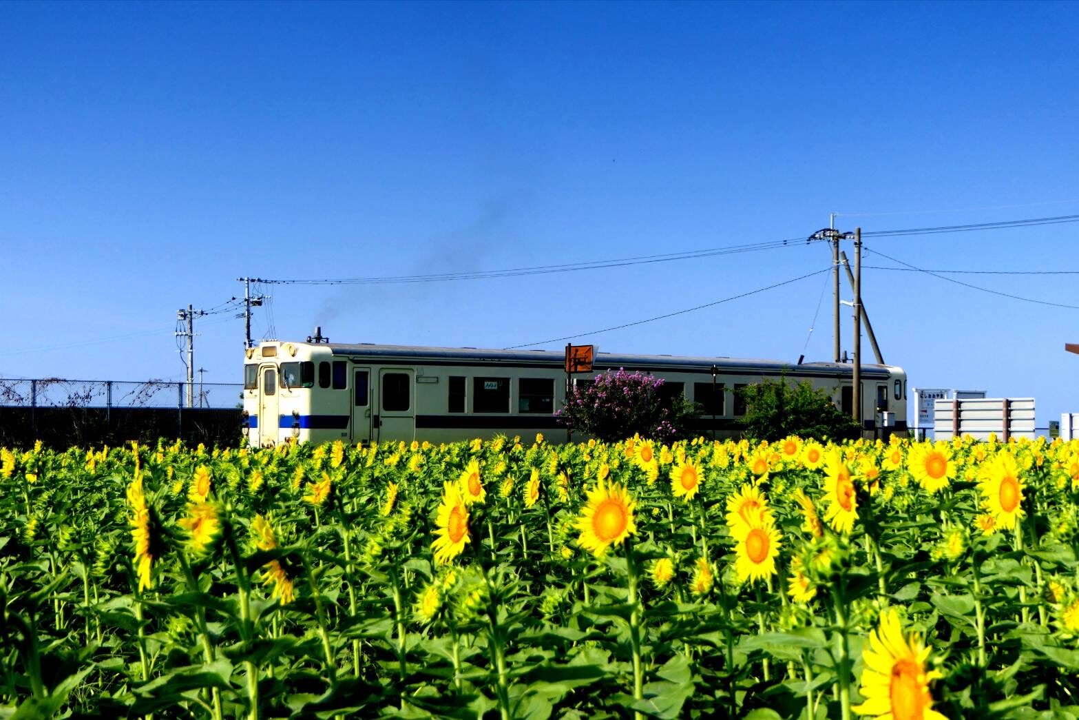JR最南端の駅 西大山駅-8