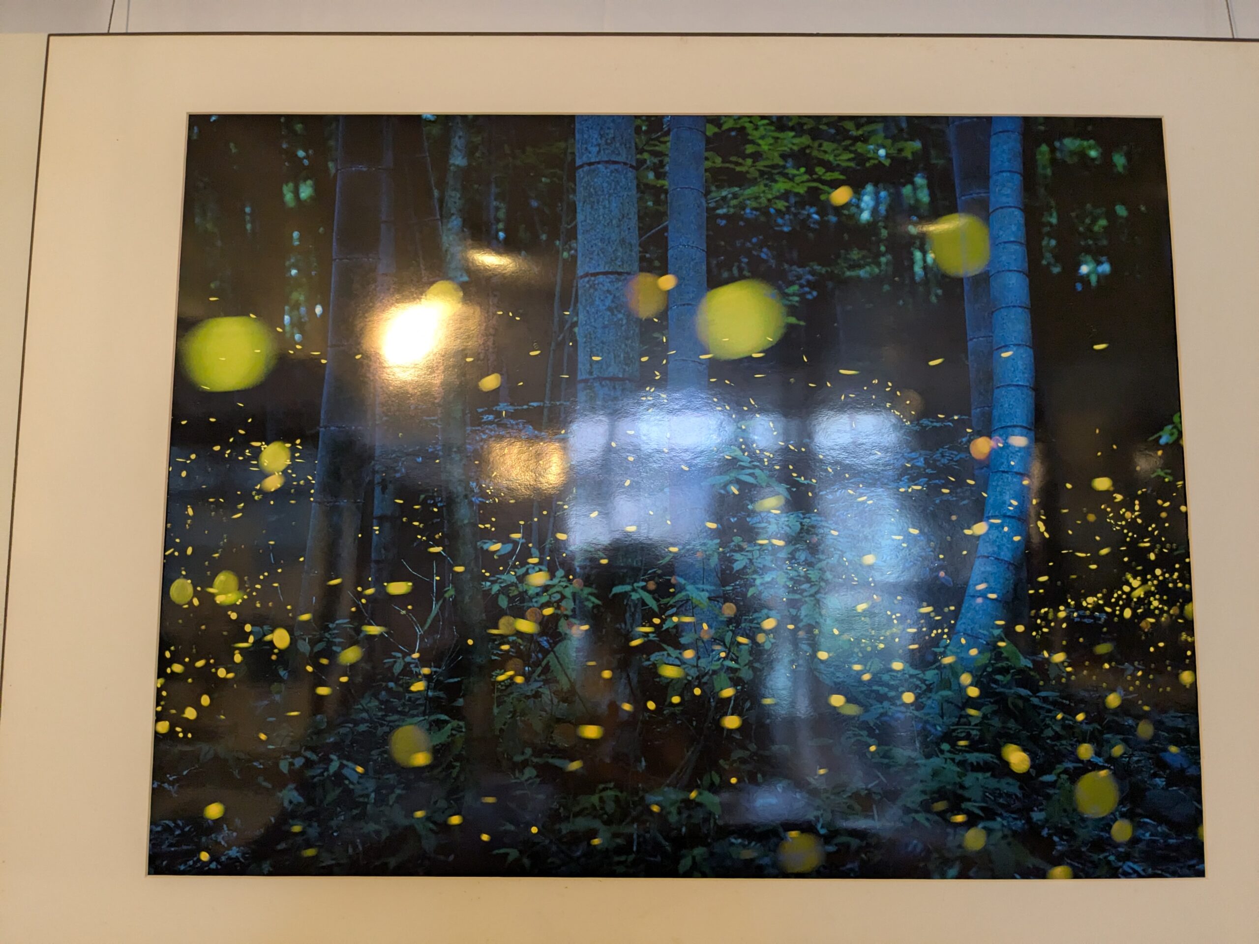 追憶―大薄順子写真-3