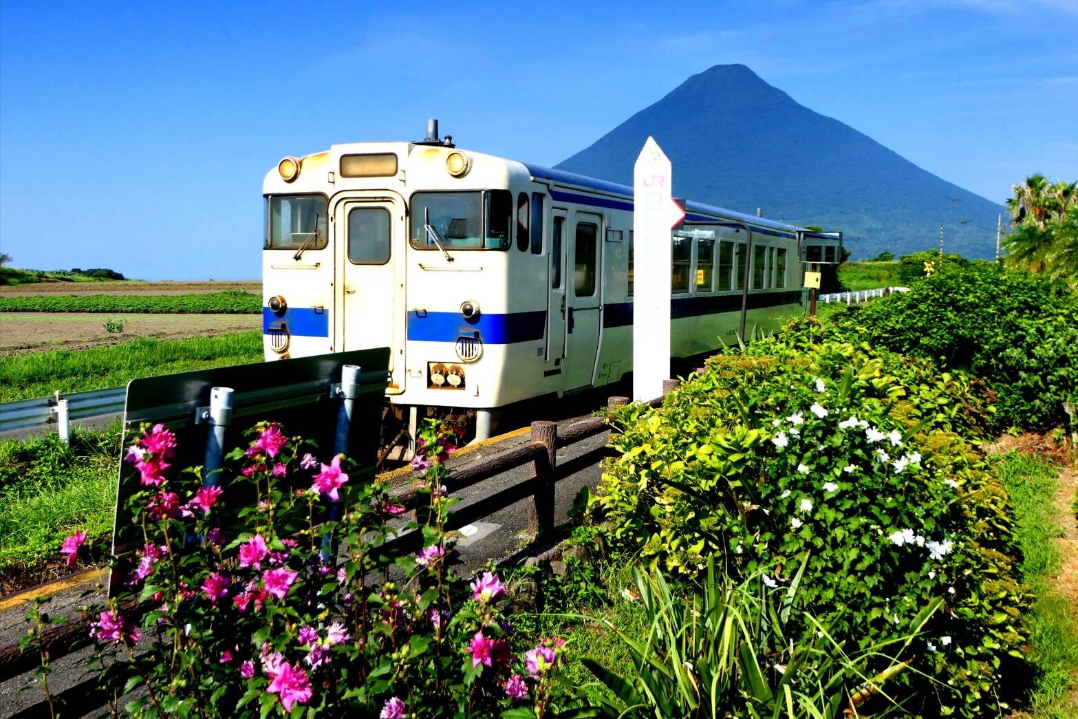 JR最南端の駅 西大山駅-4