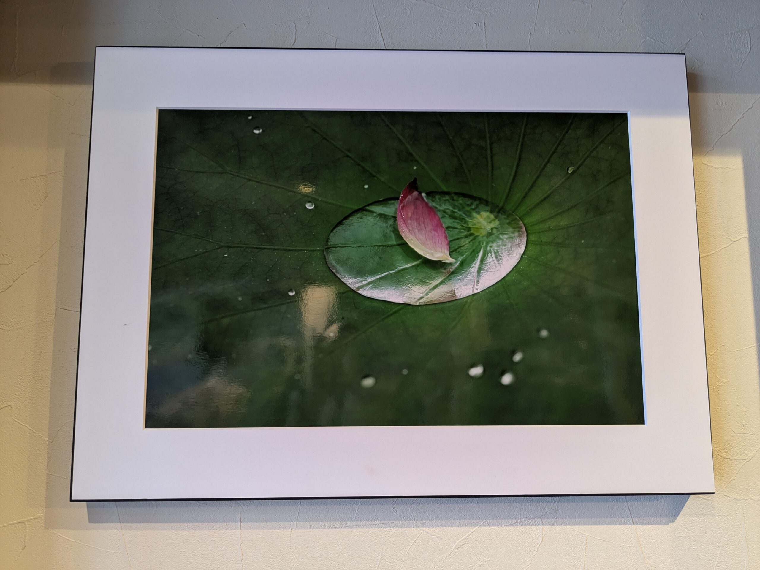 追憶―大薄順子写真-1