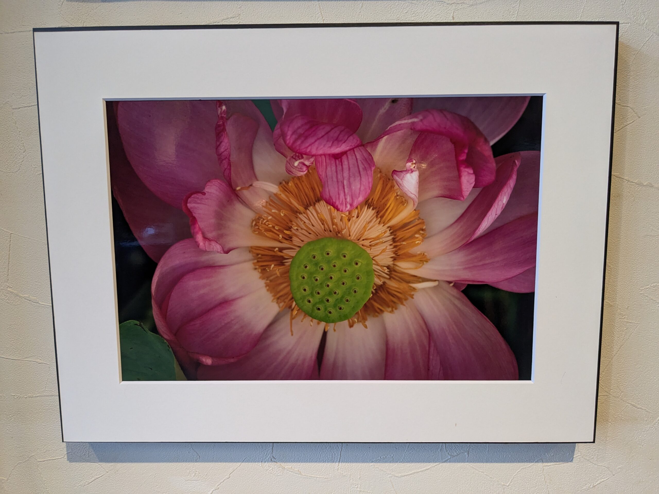 追憶―大薄順子写真-2