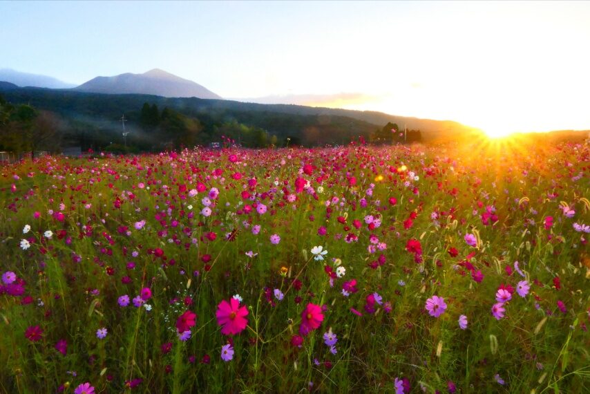 ご来光　高千穂峰