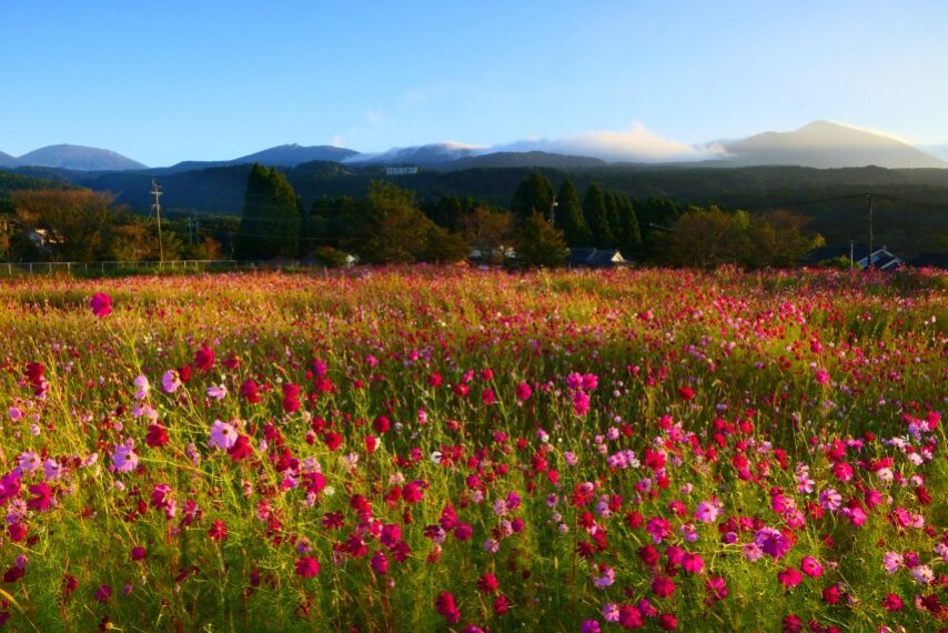 韓国岳～新燃岳～中岳～高千穂峰