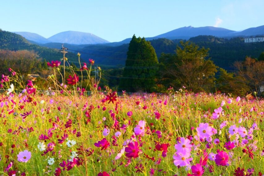 韓国岳～新燃岳