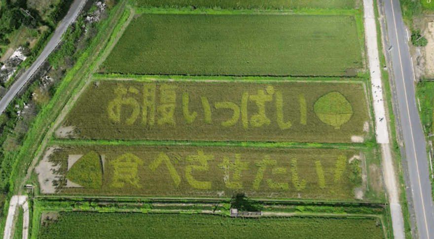 糸島市二丈の田んぼアート