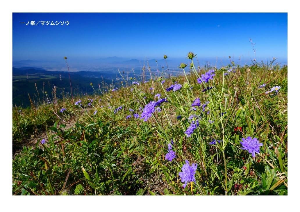 月刊　山學舎　【１０月号】-5