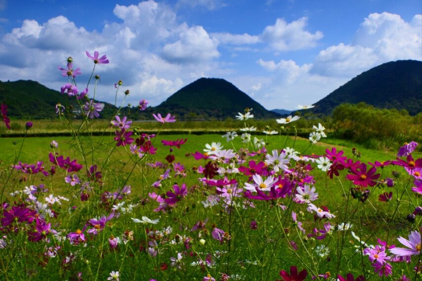 藺牟田富士 飯盛山1①