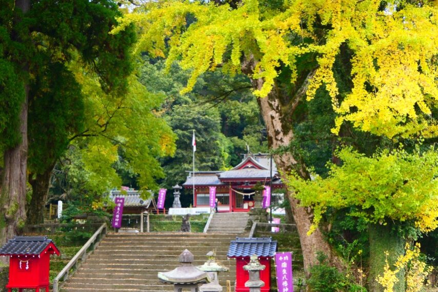 姶良市 蒲生八幡神社