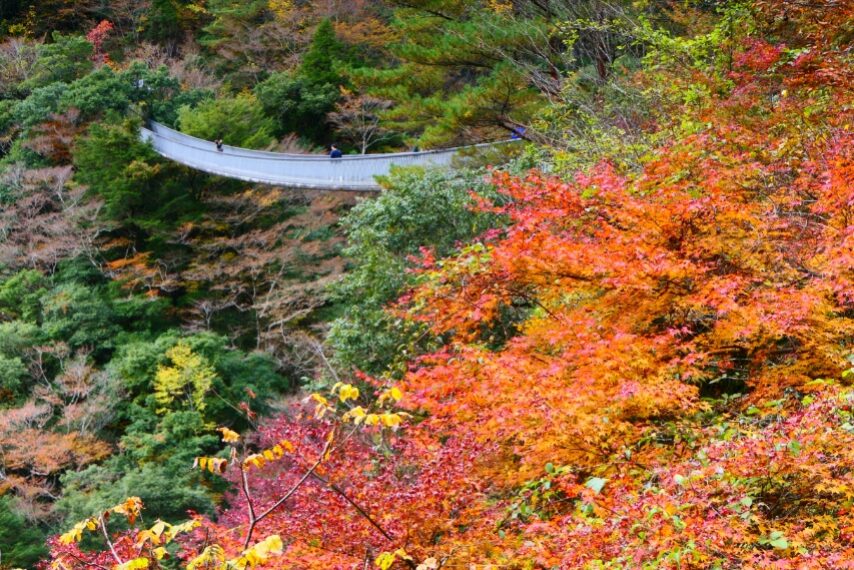 梅ノ木轟公園つり橋