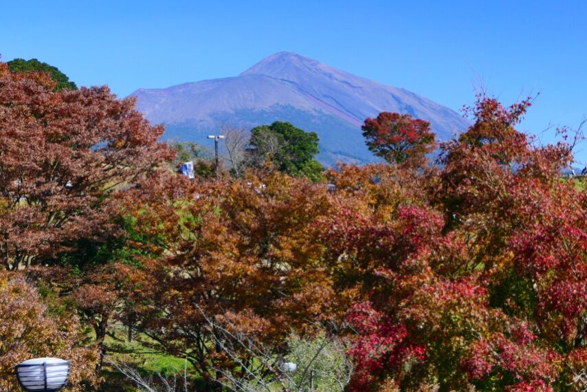 神話の里の紅葉越しに高千穂峰