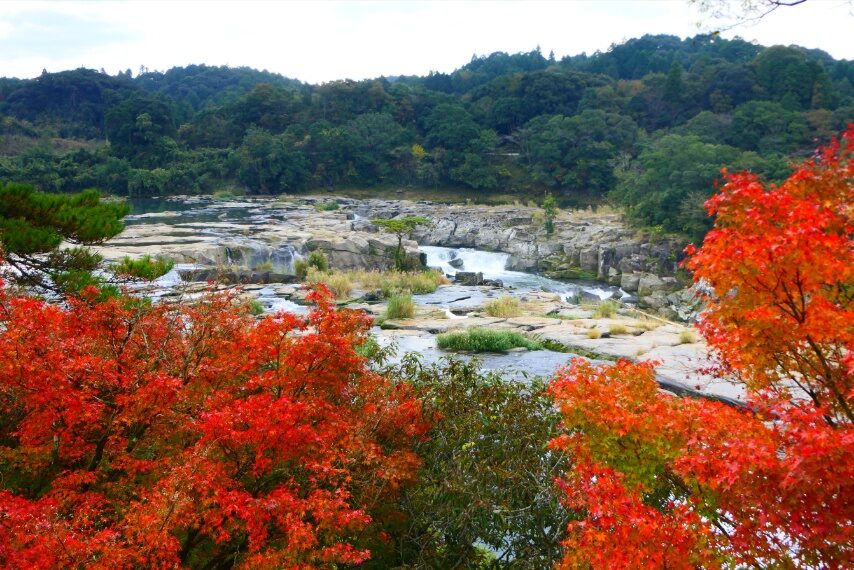 曽木の滝の紅葉
