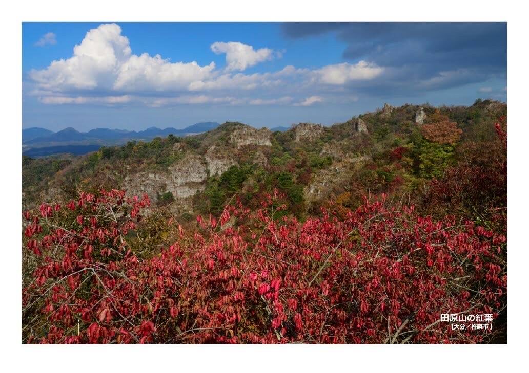 月刊 山學舎 【11月号】-3