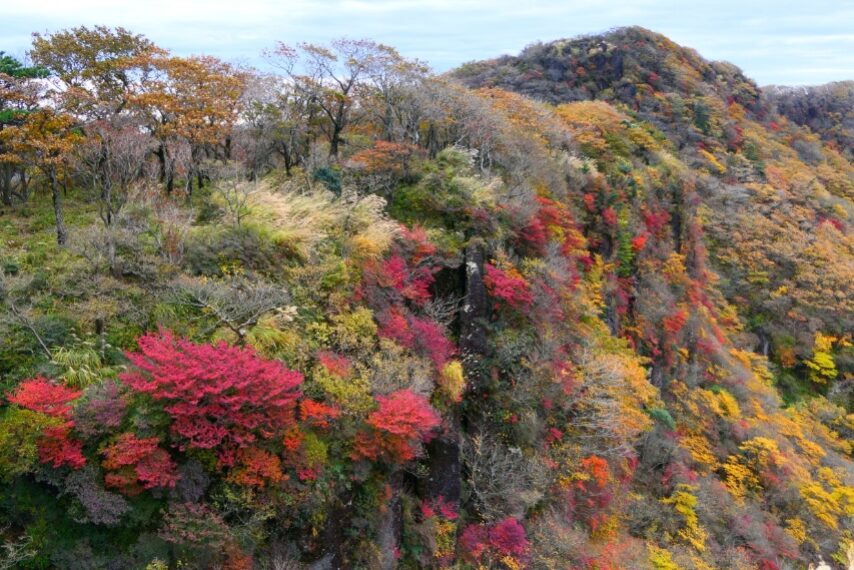 大浪池岩壁の紅葉