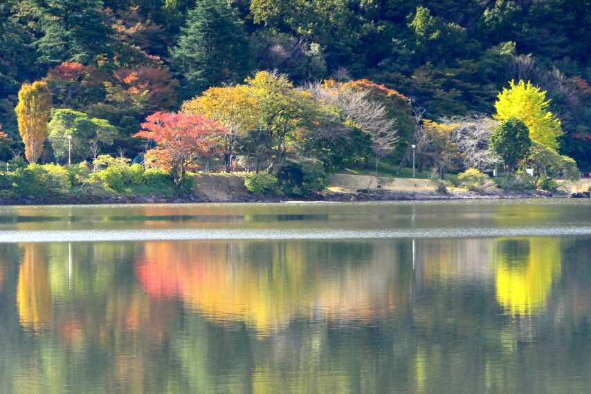 藺牟田池の紅葉-4