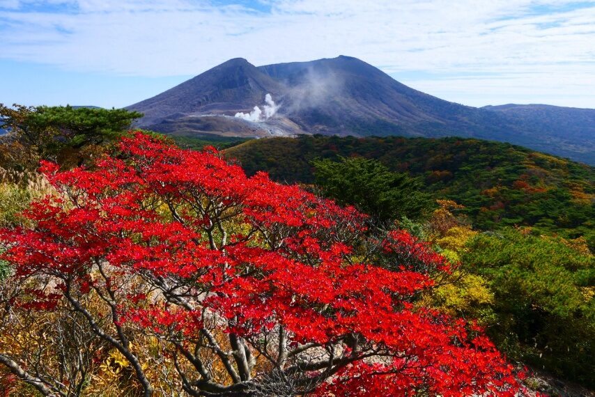 白鳥山の紅葉と韓国岳