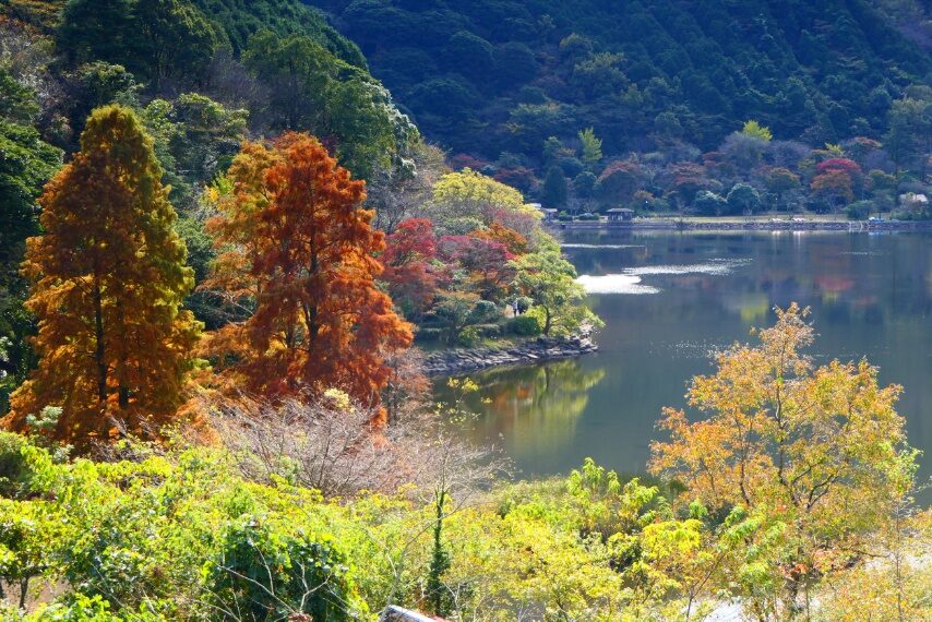 藺牟田池の紅葉-2