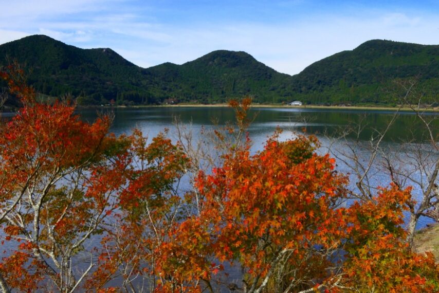 藺牟田池の紅葉-2