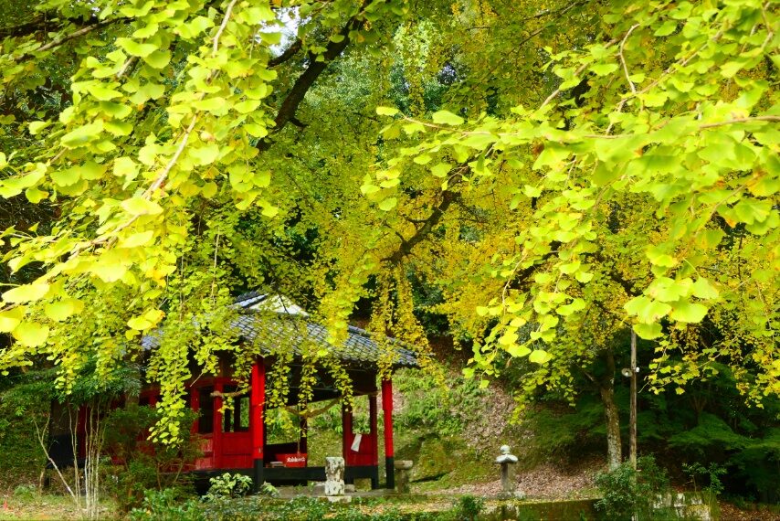 姶良市 大山祇神社-1