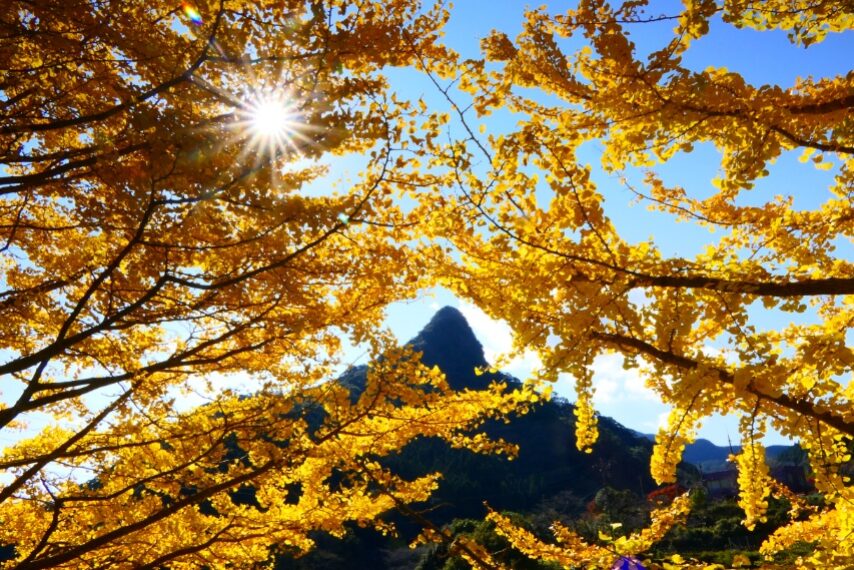 清浦ダム周辺の紅葉・黄葉-1