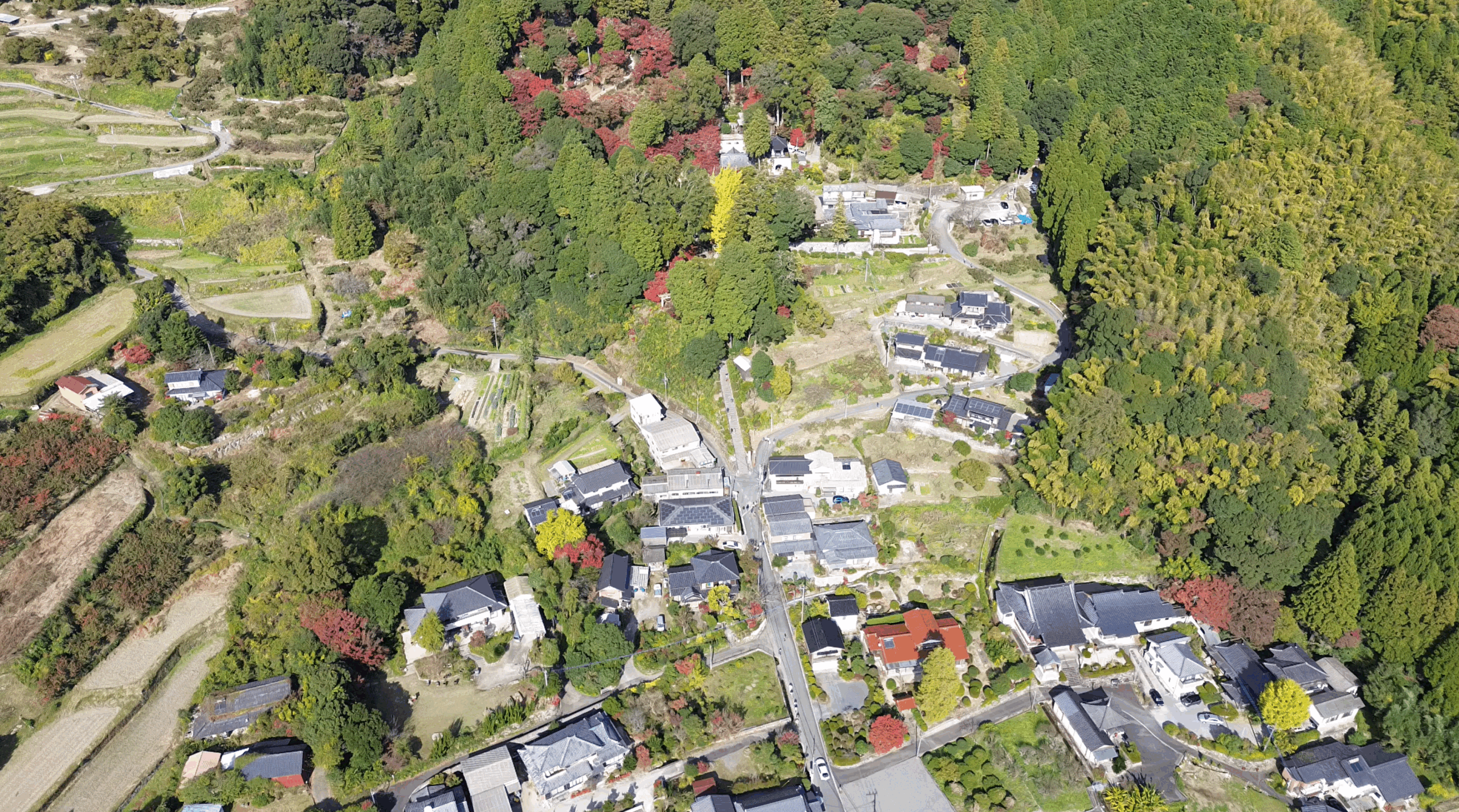 ①大興善寺上空からのパノラマ