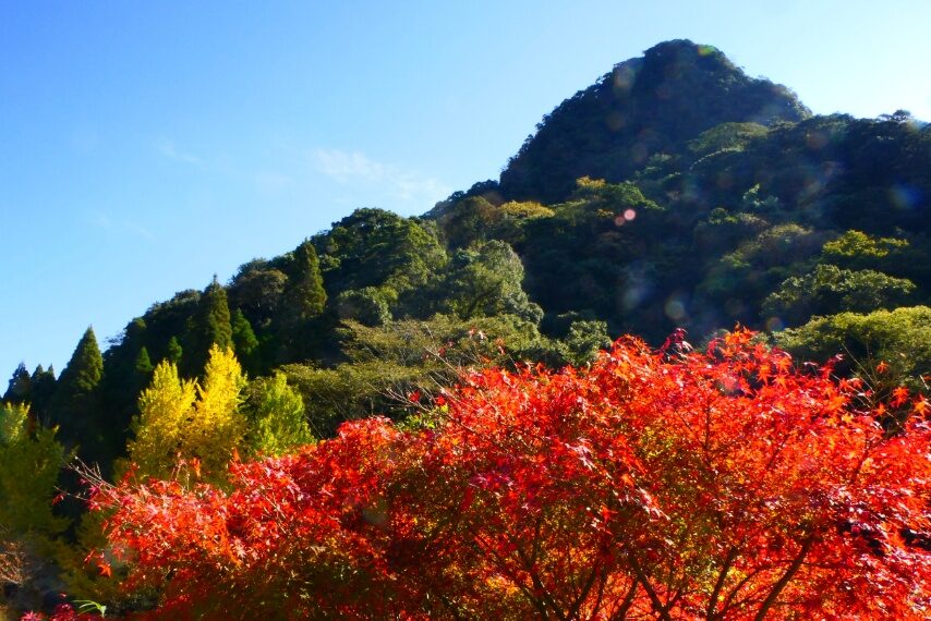 清浦ダム周辺の紅葉・黄葉-2