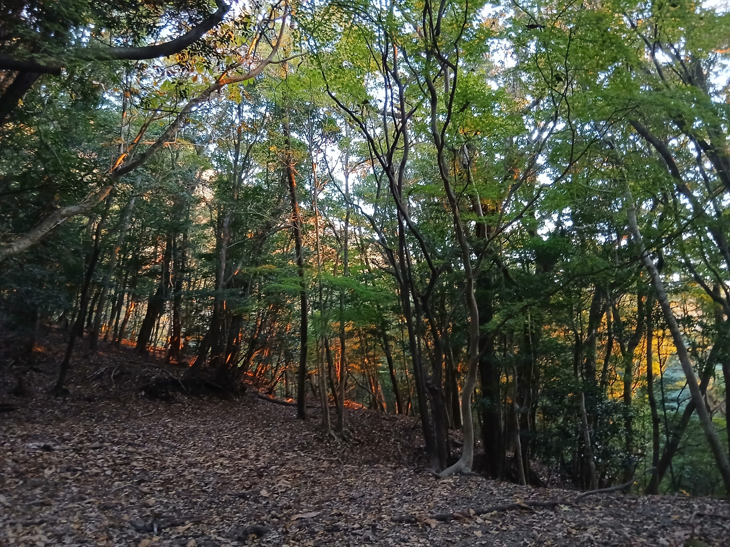 高千穂峰への登山