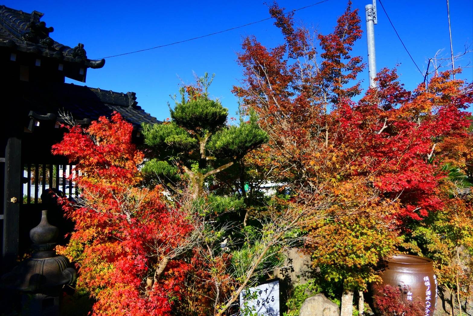 光明坊の紅葉-2