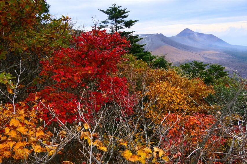紅葉と遠くに高千穂峰