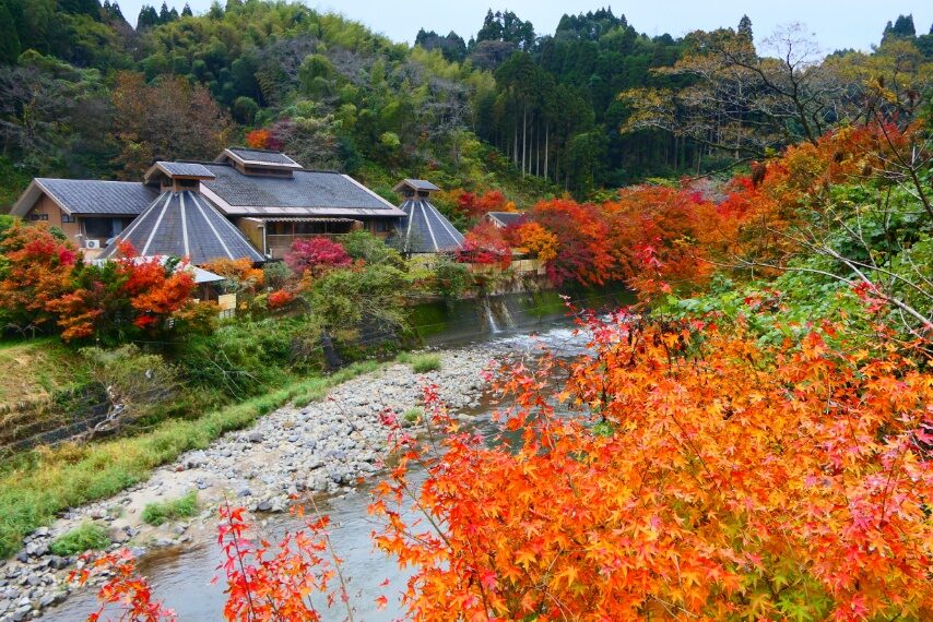 せせらぎの湯花水木の紅葉⑤