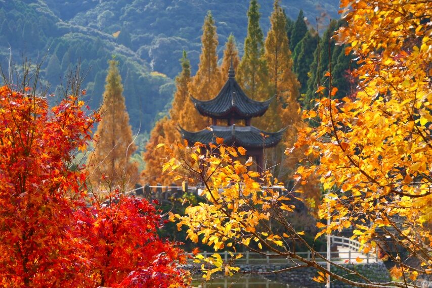 冠岳山麓の紅葉