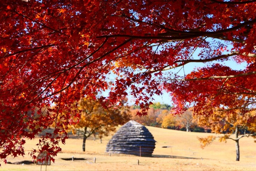 上野原縄文の森