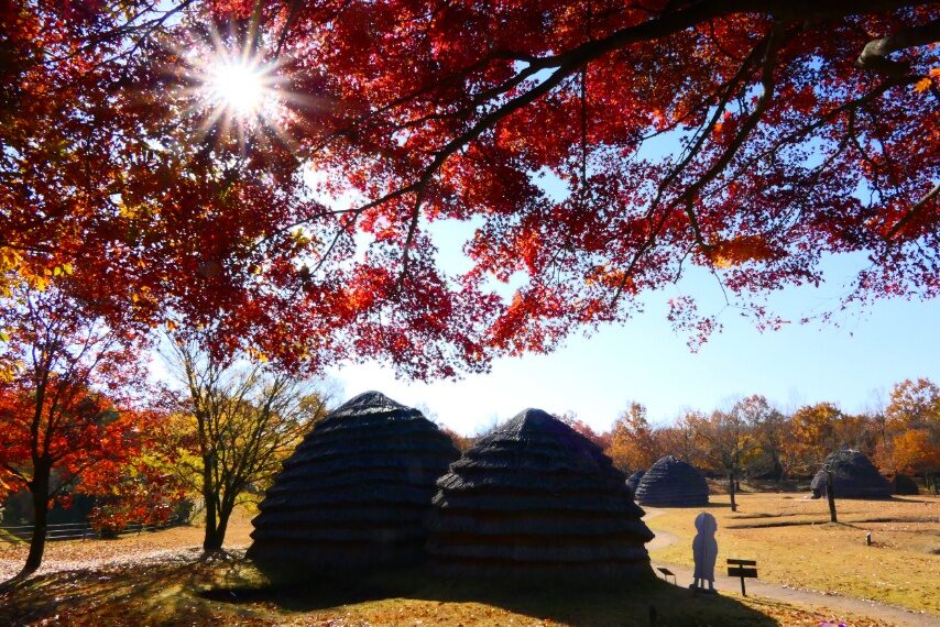 上野原縄文の森