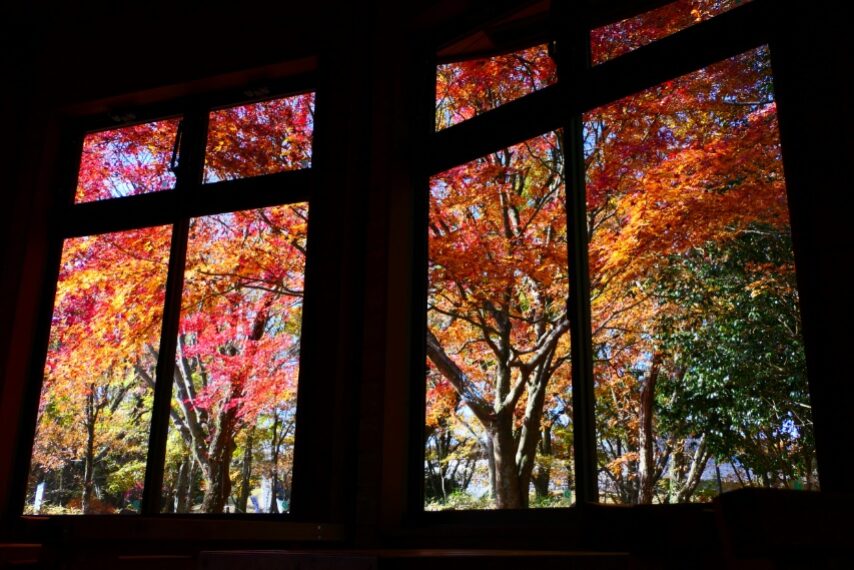 上野原縄文の森