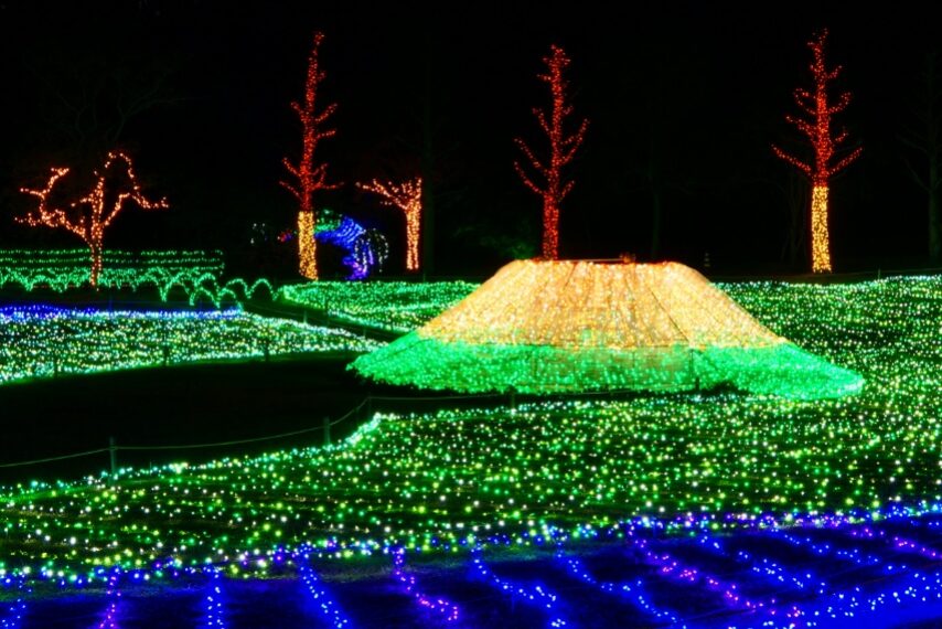 フラワーパーク鹿児島