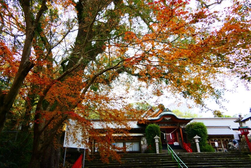 新田神社の紅葉