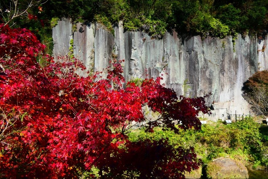 岩屋公園の紅葉②